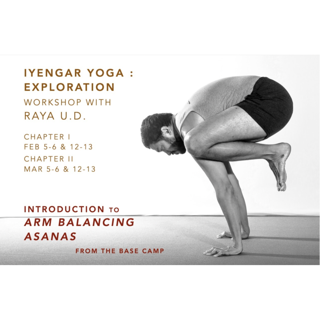 Introduction to Arm Balancing Asanas - From The Base Camp