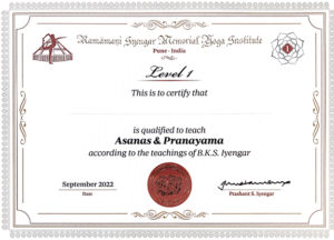 RIMYI Assessment Certificate